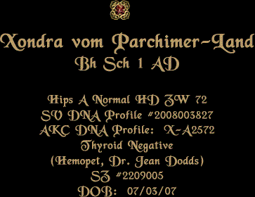 Xondra vom Parchimer-Land
